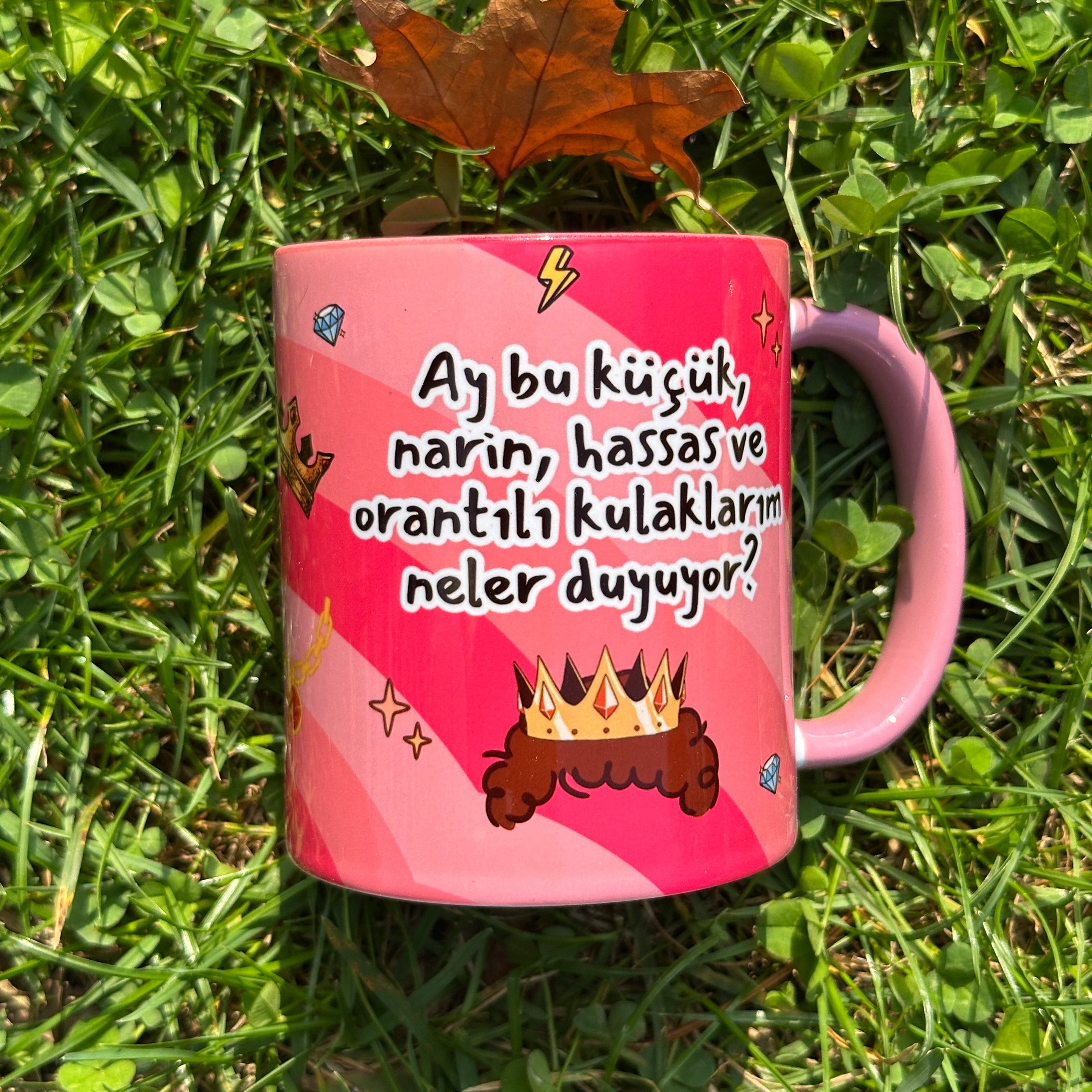 Prens – Ay Bu Küçük Narin ve Hassas Kulaklarım Neler Duyuyor Tasarım Kupa